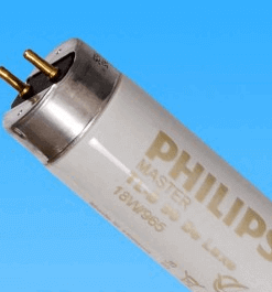 Bóng đèn so màu D65 chính hãng Philips