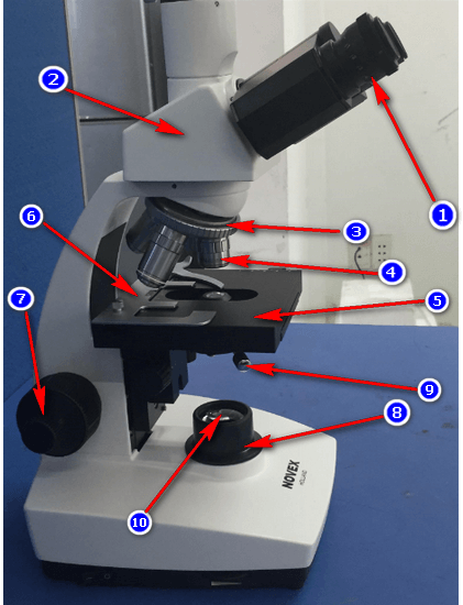 Cấu tạo kính hiển vi 3 mắt Novex